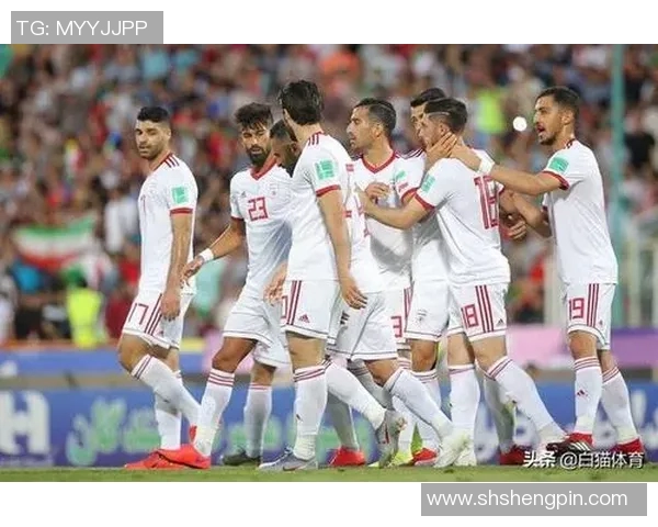 伊朗国家足球明星队阵容全解析及球员表现亮点回顾 伊朗国家足球明星队阵容全解析及球员表现亮点回顾