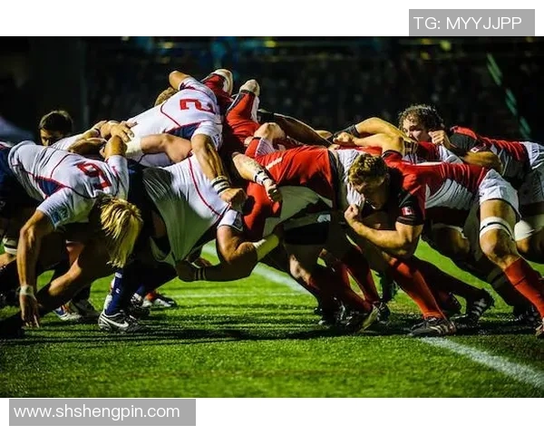 全球主要体育运动项目收入排行榜分析与趋势探讨