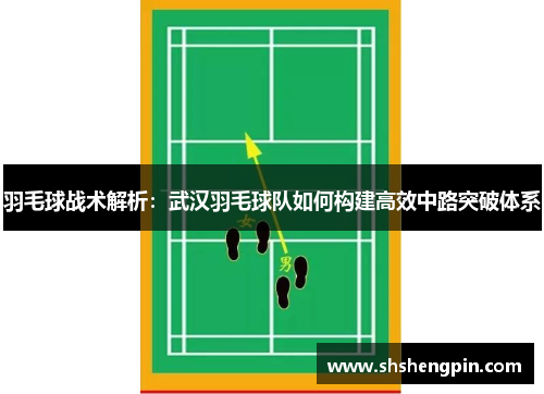 羽毛球战术解析：武汉羽毛球队如何构建高效中路突破体系