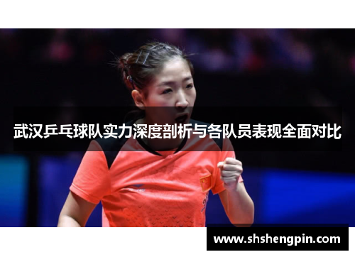 武汉乒乓球队实力深度剖析与各队员表现全面对比