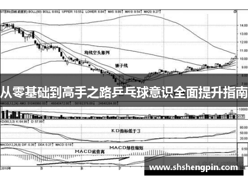 从零基础到高手之路乒乓球意识全面提升指南