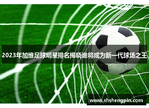 2023年加维足球明星排名揭晓谁将成为新一代球场之王