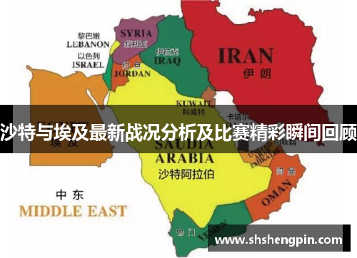 沙特与埃及最新战况分析及比赛精彩瞬间回顾